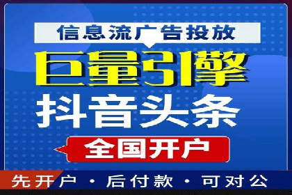 百度竞价广告投放全解析：成功案例揭秘